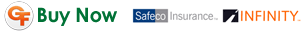 Buy Auto Insurance in Valrico Florida